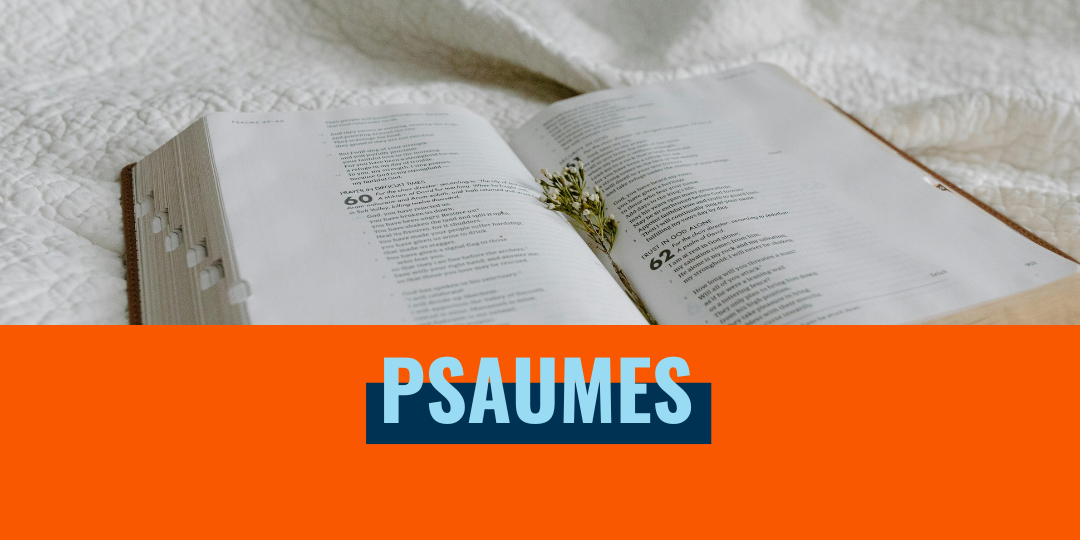 pourquoi (28) psaumes